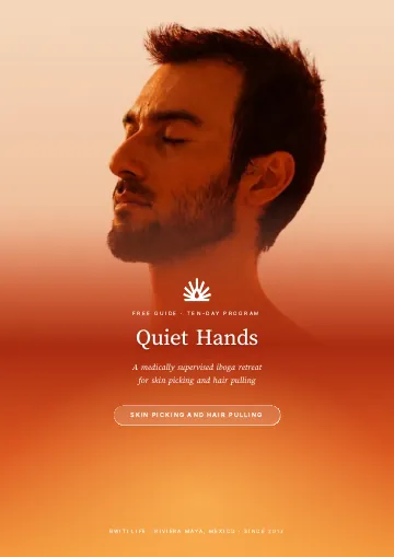 Cover of the free guide Quiet Hands