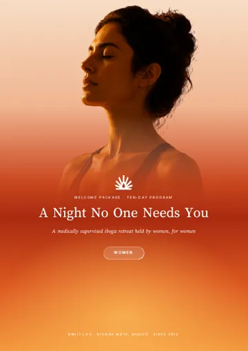 Cover of the free guide A Night No One Needs You